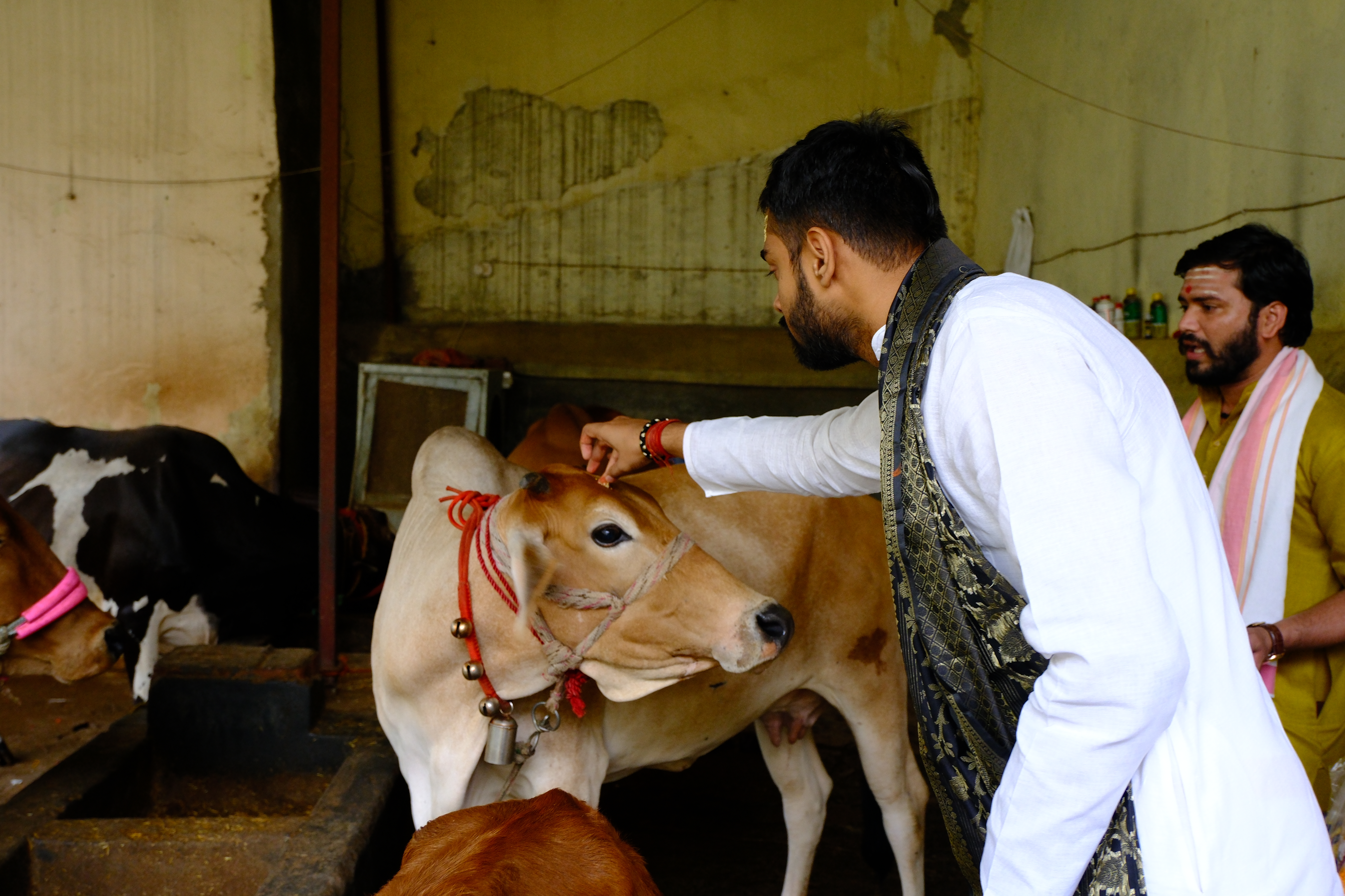Annual Gau Sponsorship