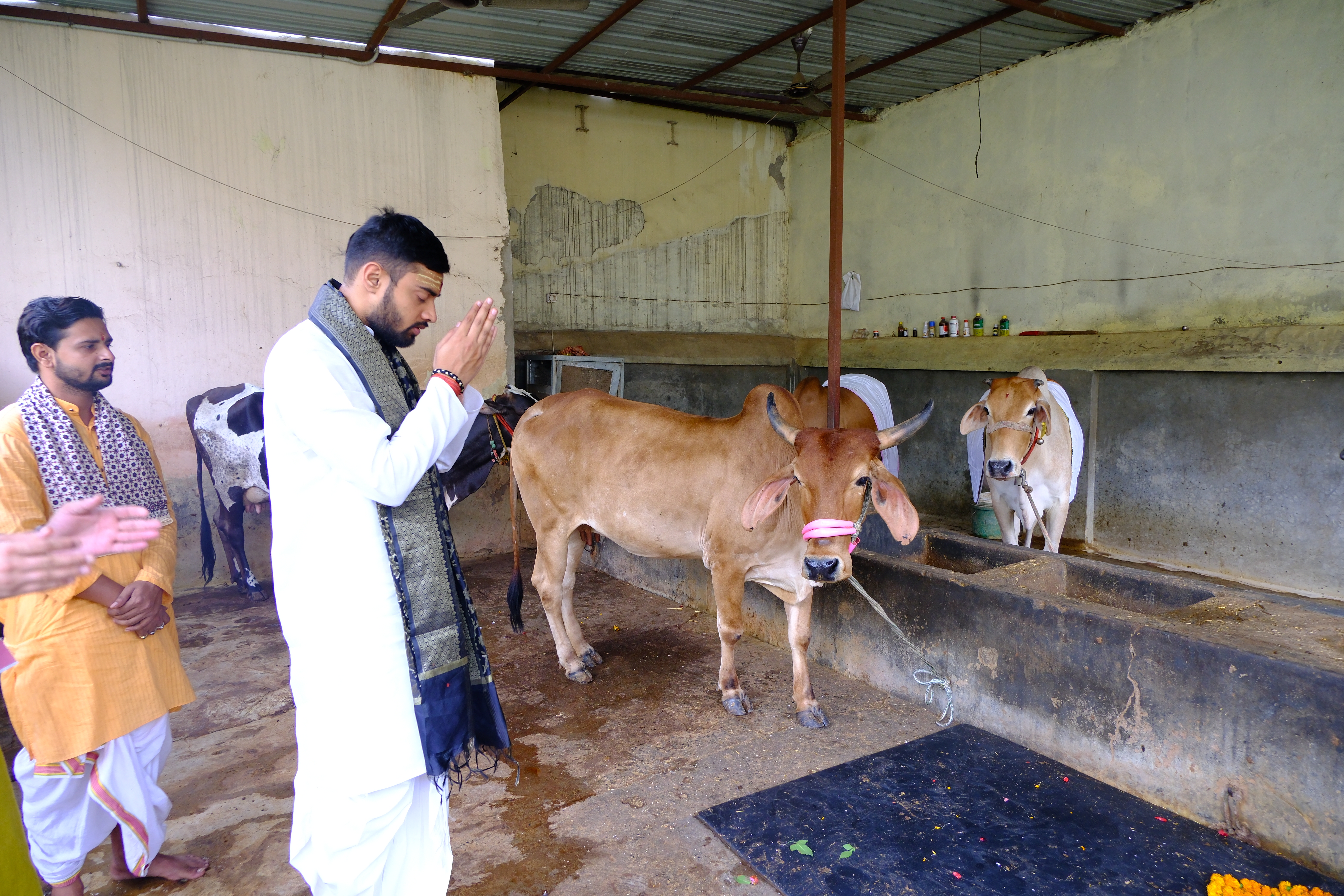 Lifetime Gau Guardian